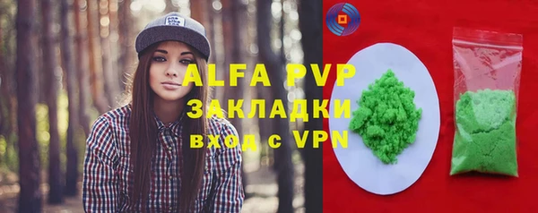 шишки Медвежьегорск