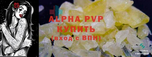 шишки Медвежьегорск