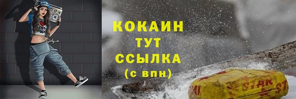 спайс Богданович
