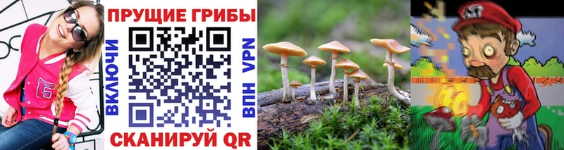Галлюциногенные грибы GOLDEN TEACHER  Болгар 